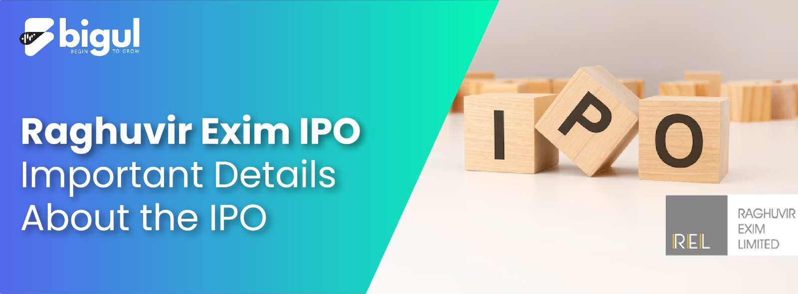Raghuvir Exim IPO: Important Details About the IPO
